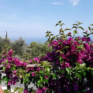  Bed & Breakfast Il Porto Di Benny